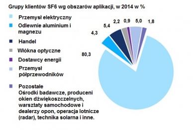 grupy klientów sf6